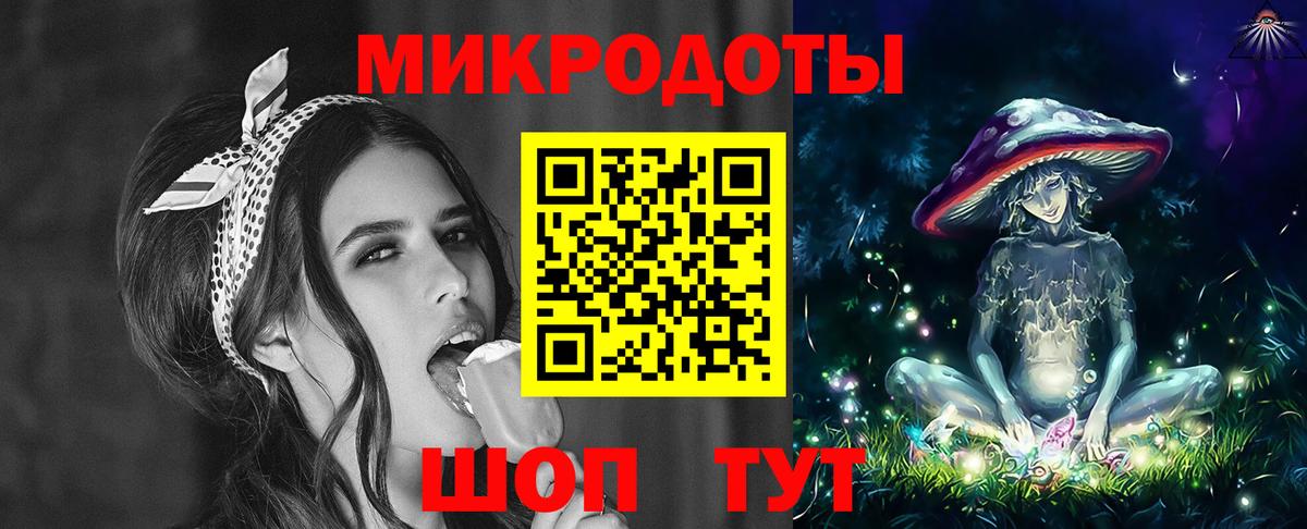Псилоцибиновые грибы Cubensis Канаш