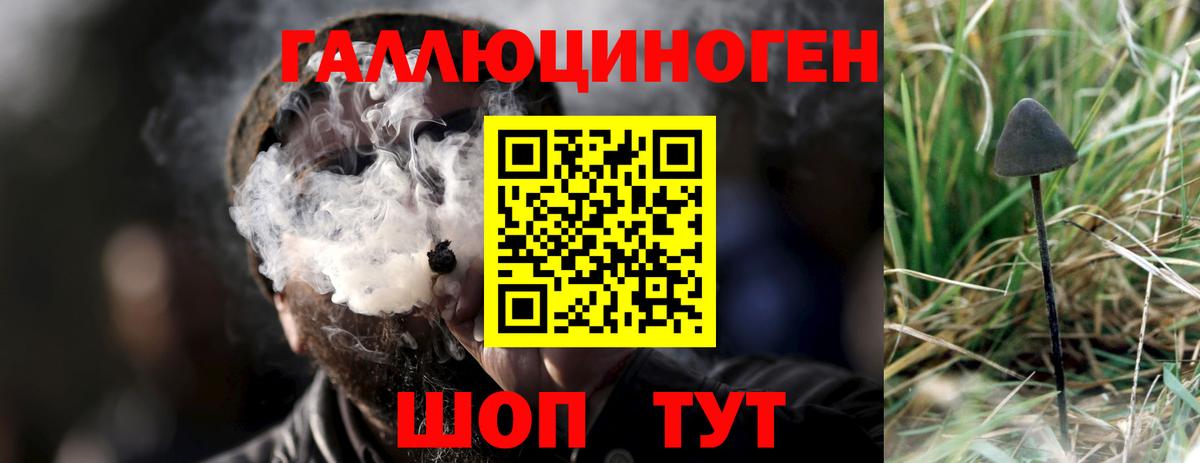 купить наркотики сайты  Галлюциногенные грибы Magic Shrooms  Вход с VPN  Канаш 